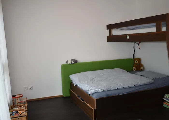 Domofaber 296 Gu Parpan